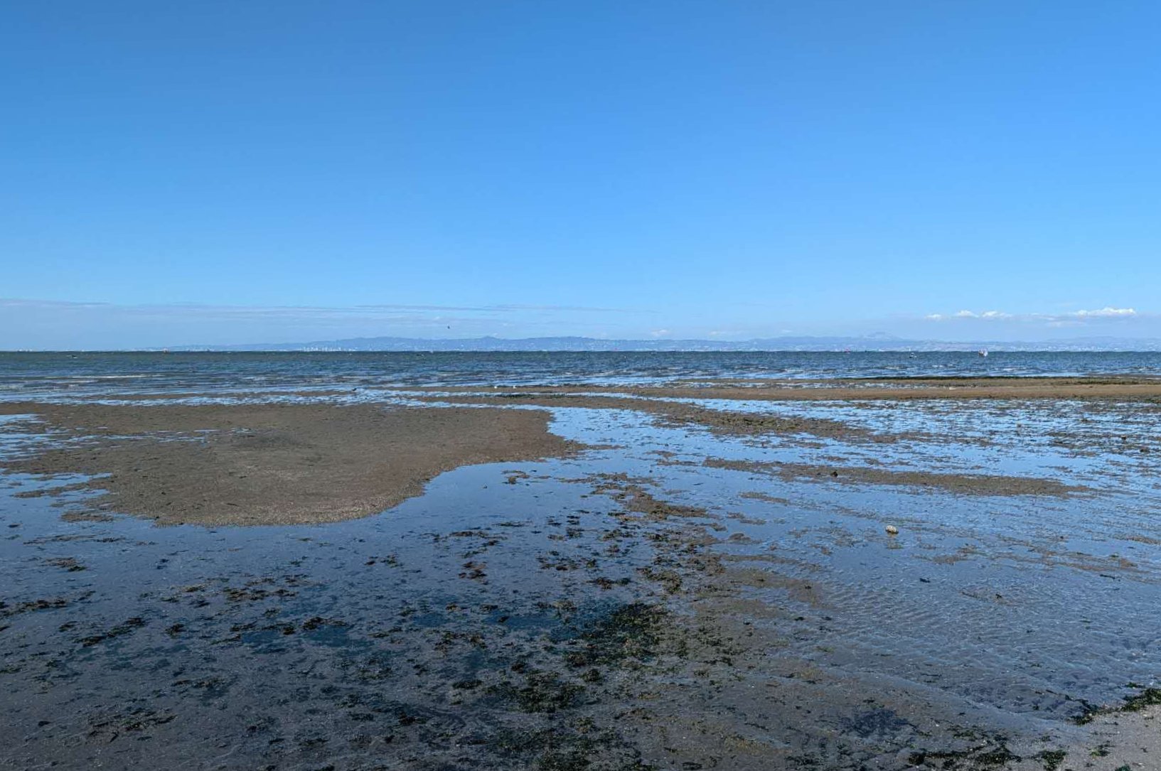 Californian Coastal Mudflats