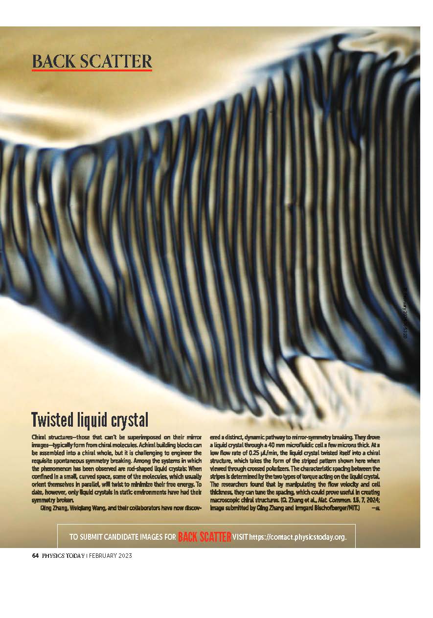 Physics Today Back Scatter