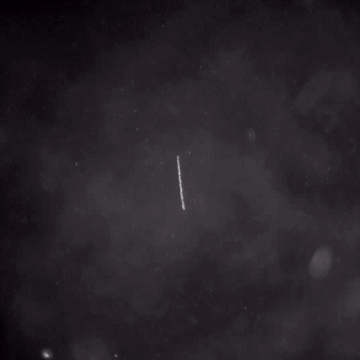 Photo-regulated Buoyancy