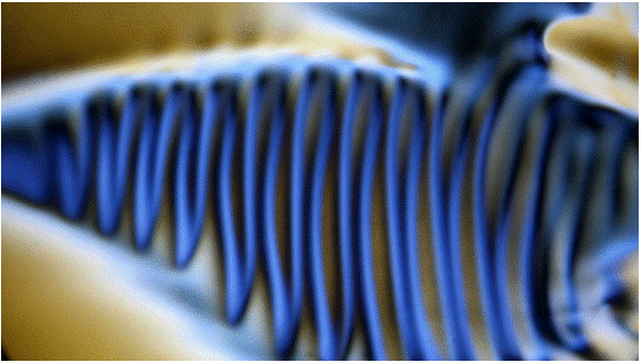 Flow Induced Structures 2