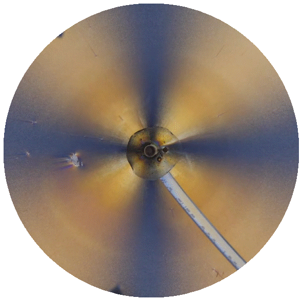 Viscous Fingering Instabilities 2