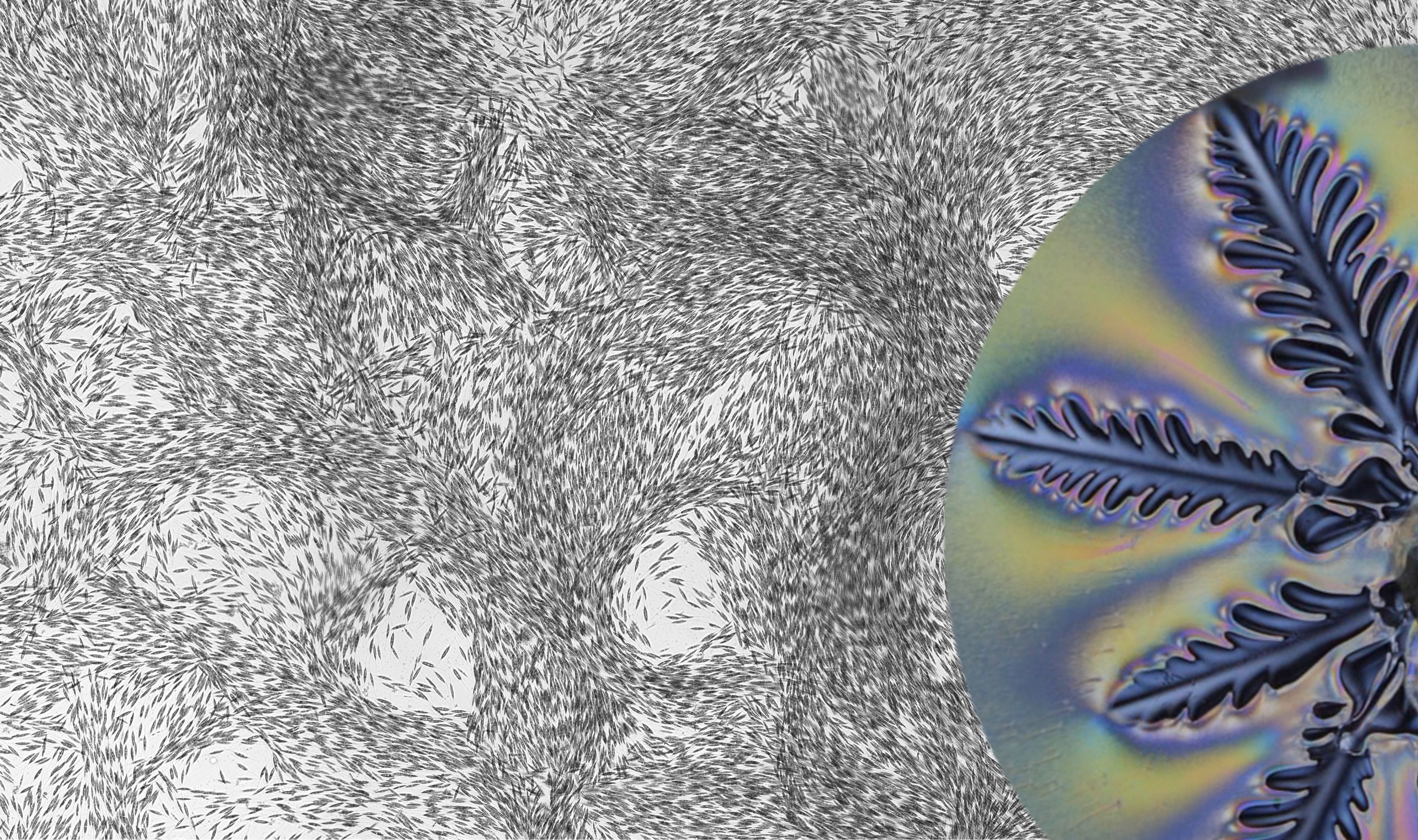 Fluid Dynamics Background Desktop