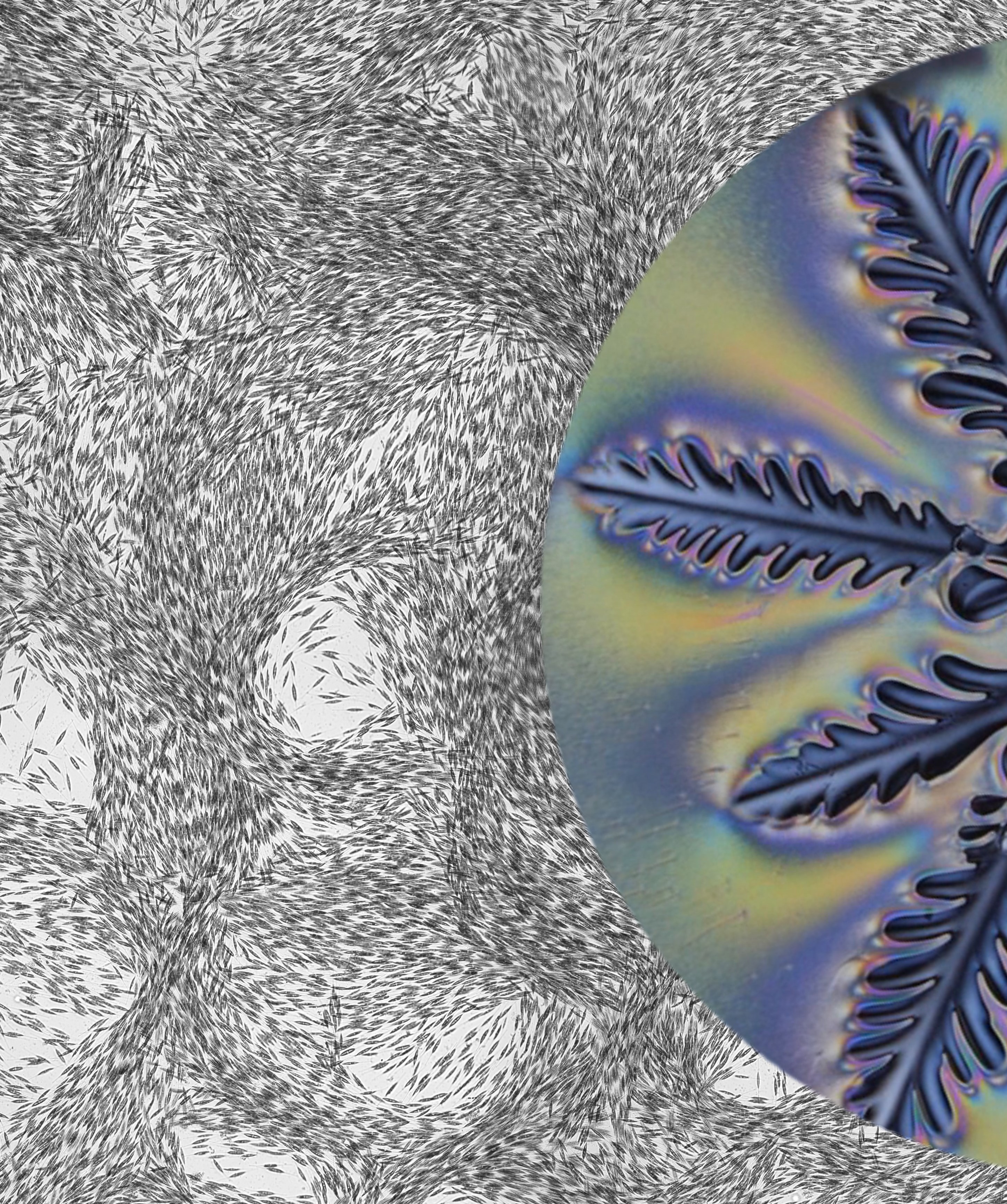 Fluid Dynamics Background Mobile